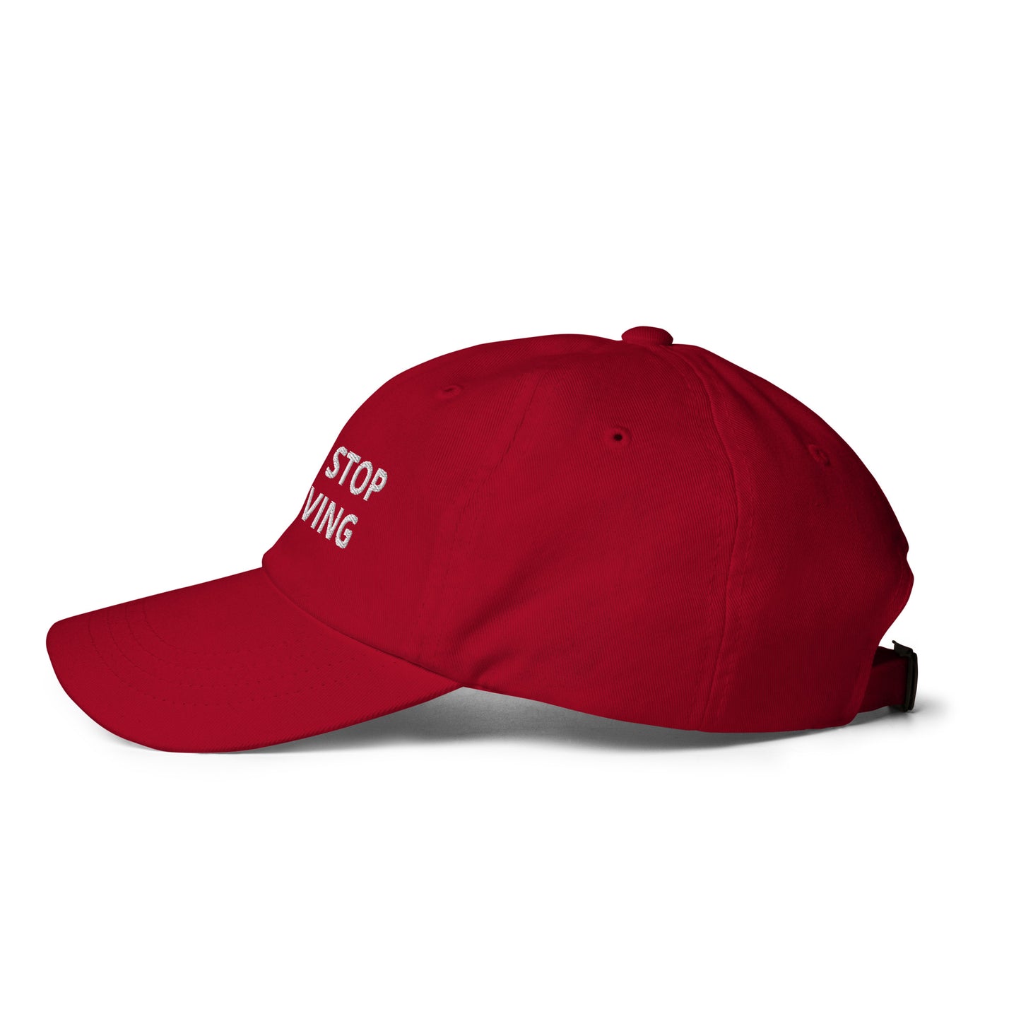 NEVER STOP BELIEVING hat