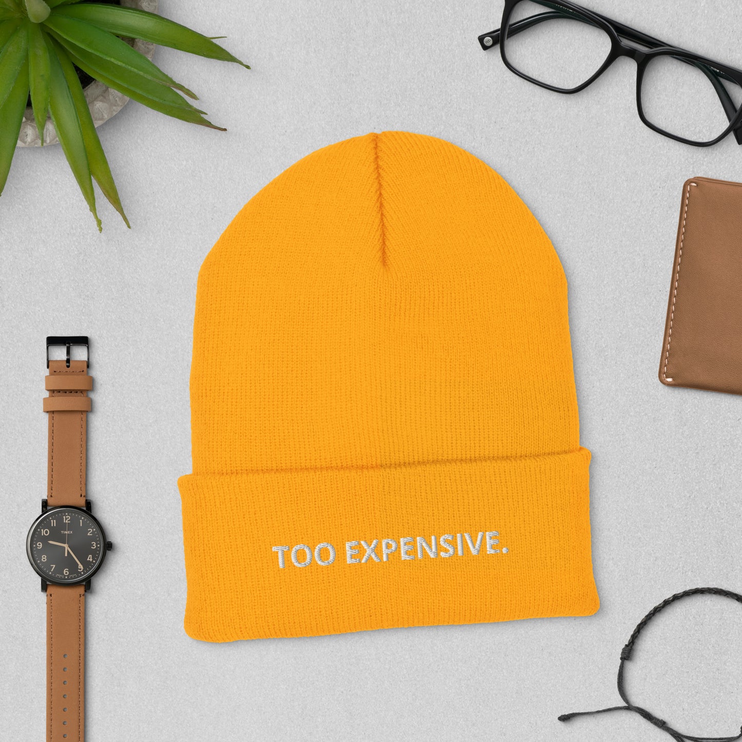 TOO EXPENSIVE. Cuffed Beanie
