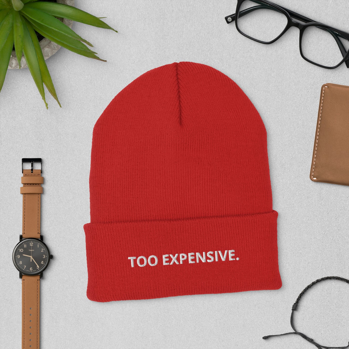 TOO EXPENSIVE. Cuffed Beanie
