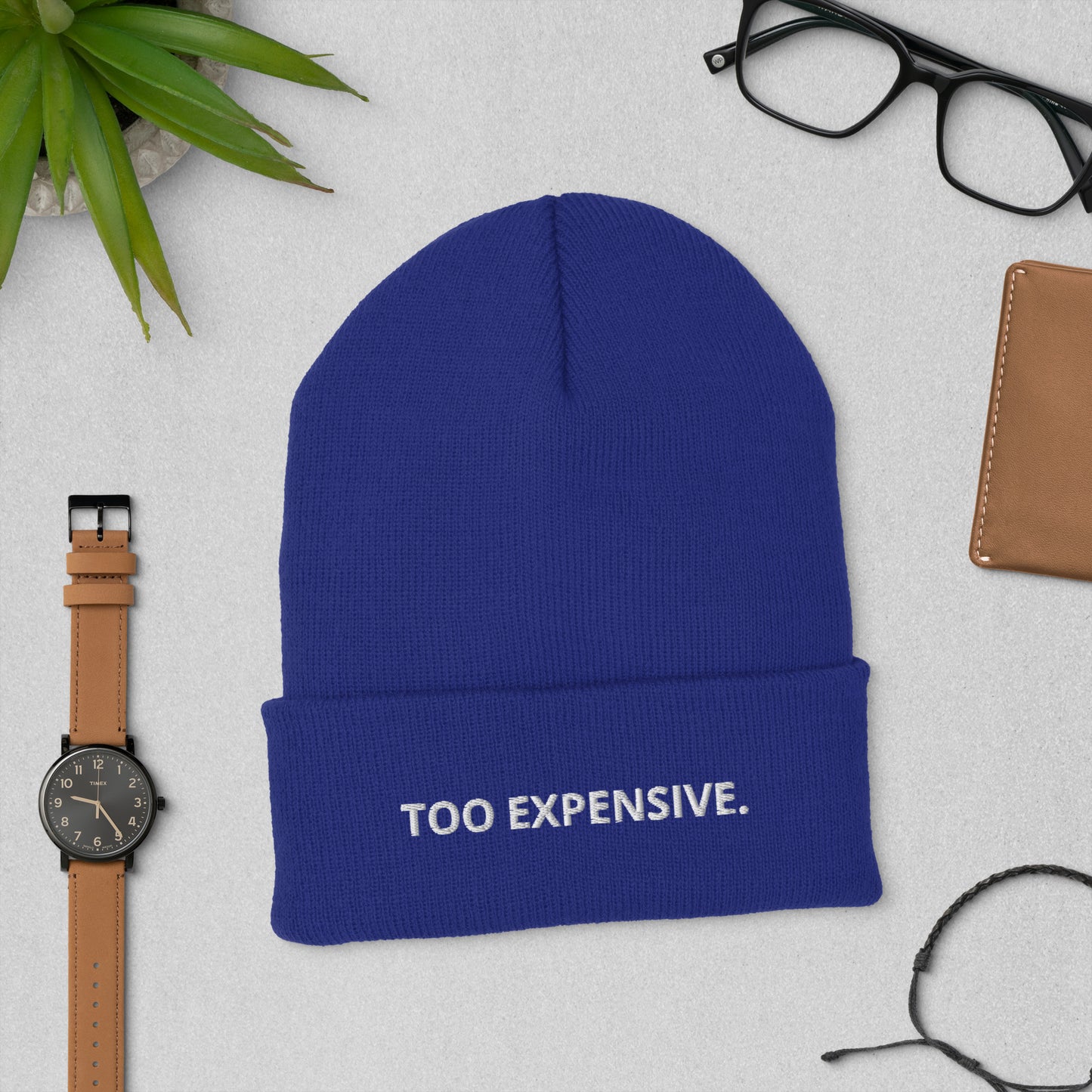 TOO EXPENSIVE. Cuffed Beanie