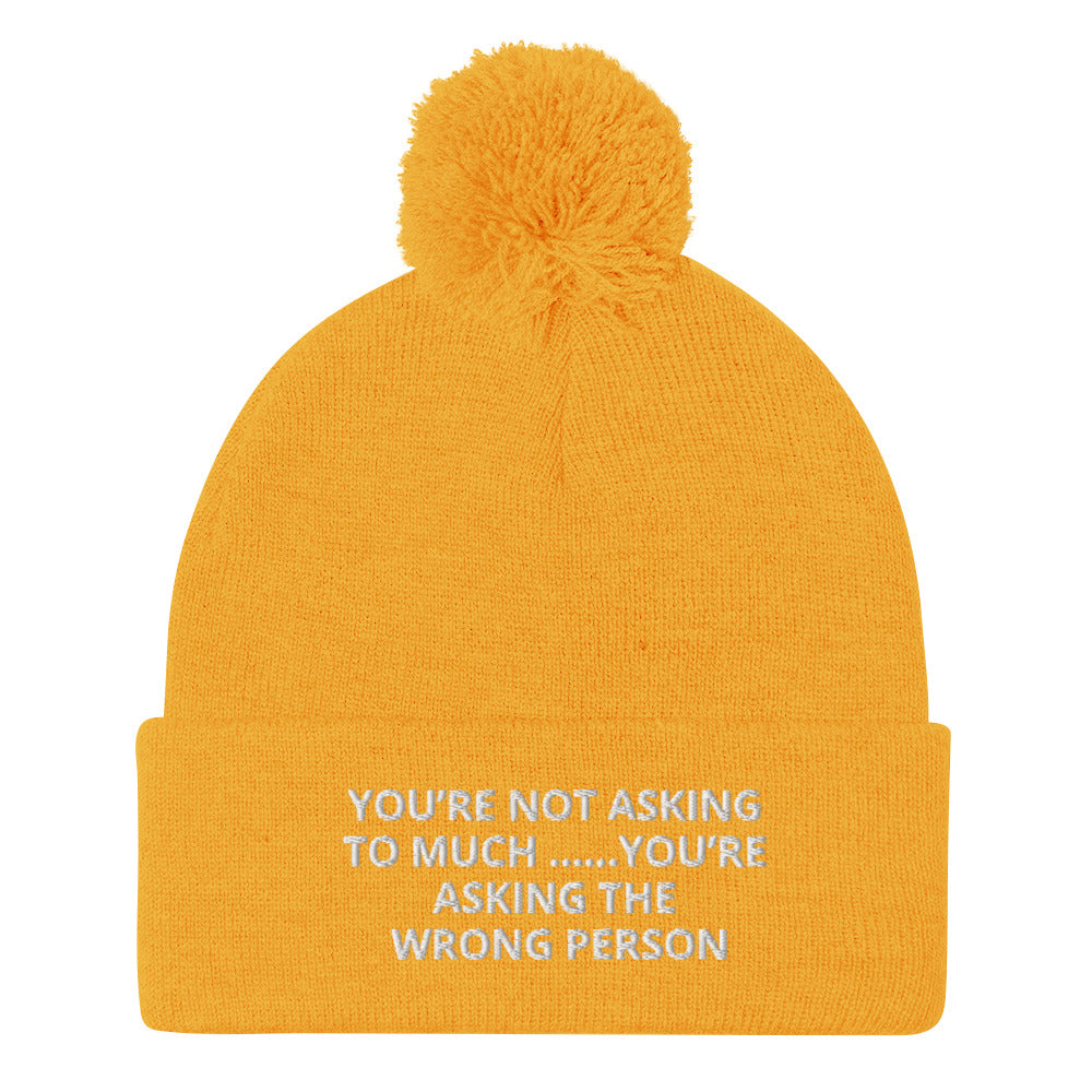 YOU’RE NOT ASKING TO MUCH ….YOU’RE ASKING THE WRONG PERSON Pom-Pom Beanie