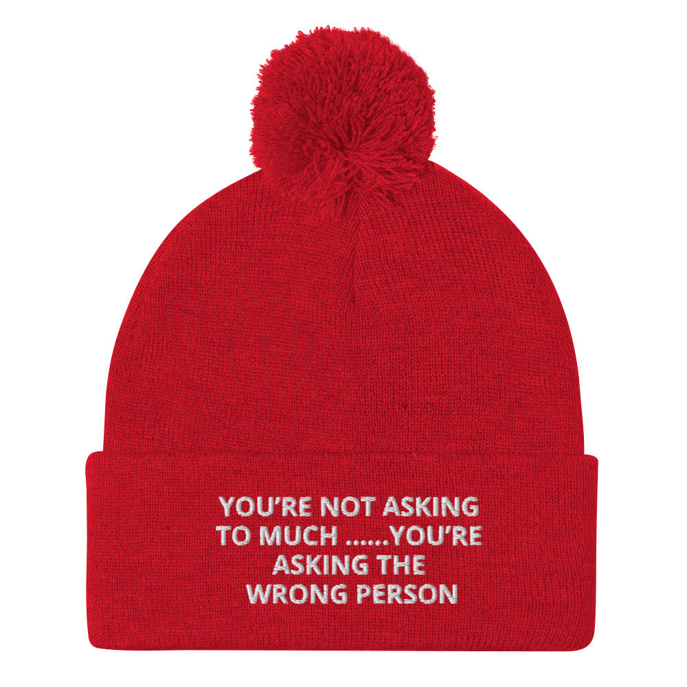 YOU’RE NOT ASKING TO MUCH ….YOU’RE ASKING THE WRONG PERSON Pom-Pom Beanie
