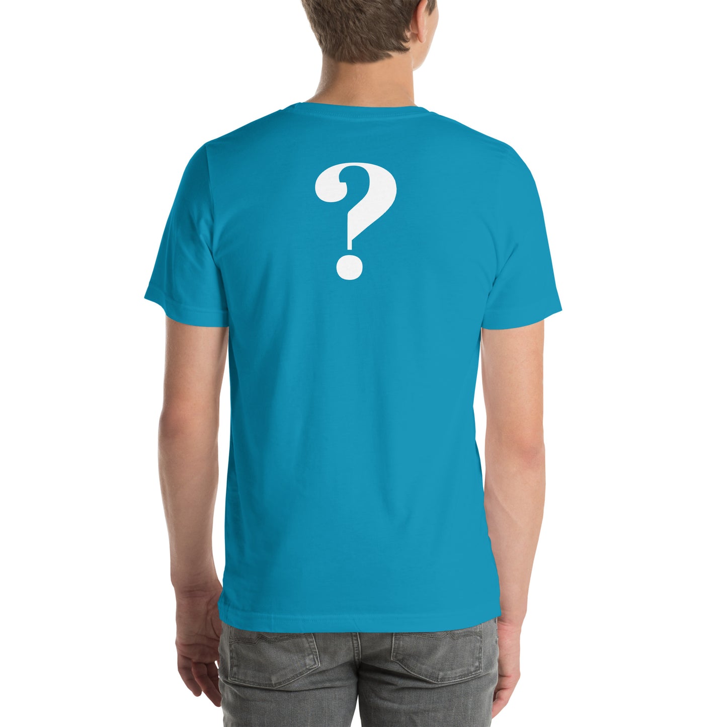 I HEARD A CONSPIRACY THEORY - Unisex t-shirt