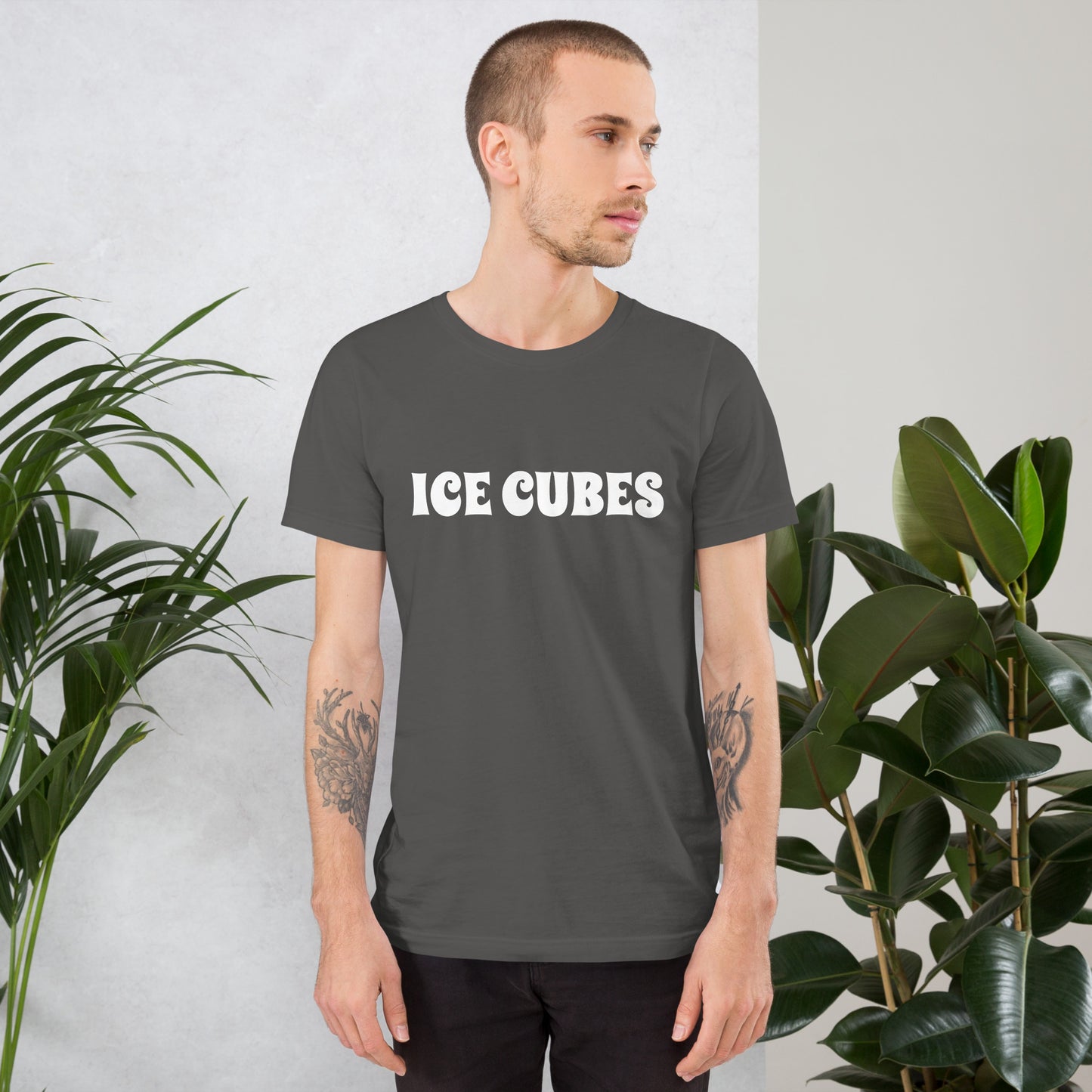 ICE CUBES Unisex t-shirt