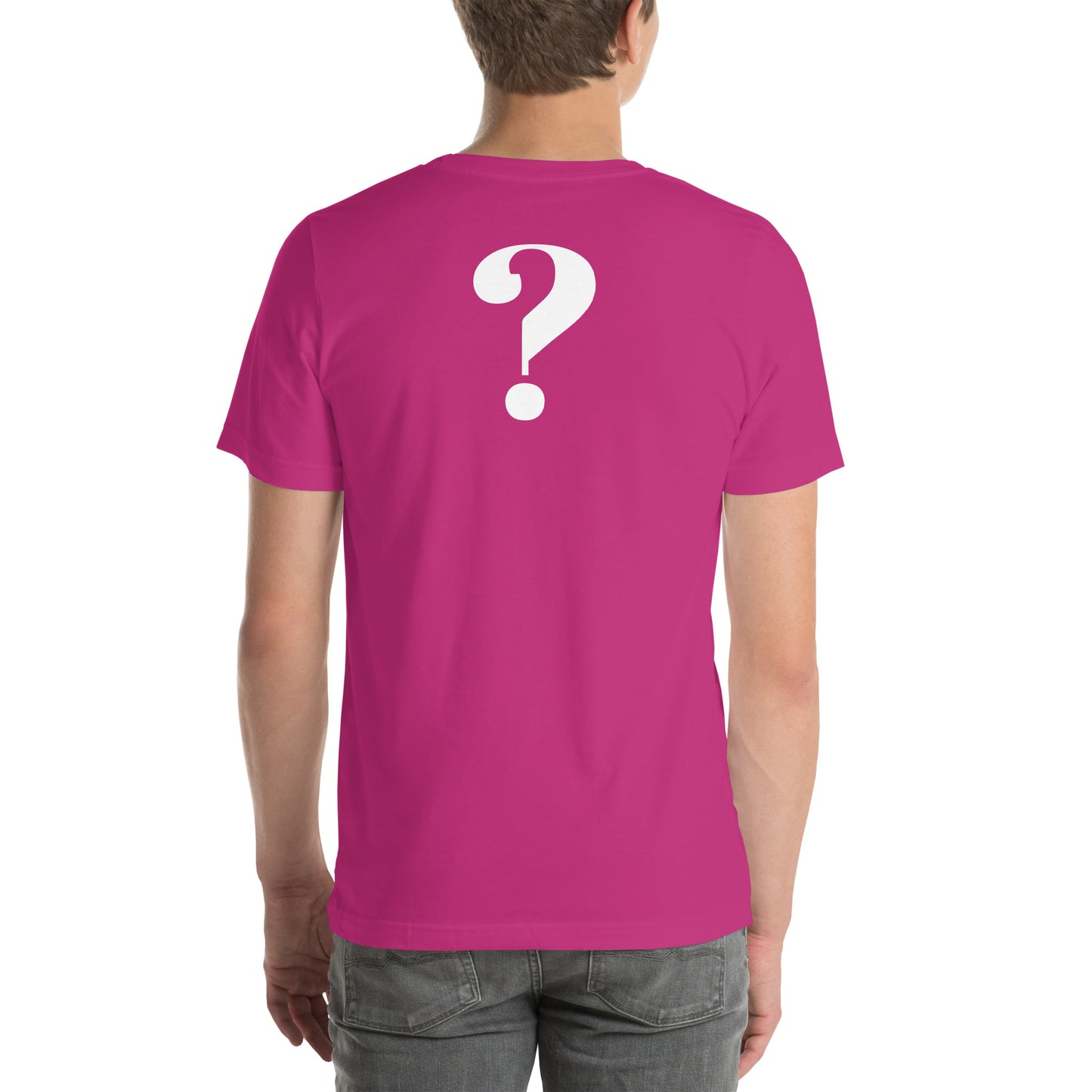 I HEARD A CONSPIRACY THEORY - Unisex t-shirt