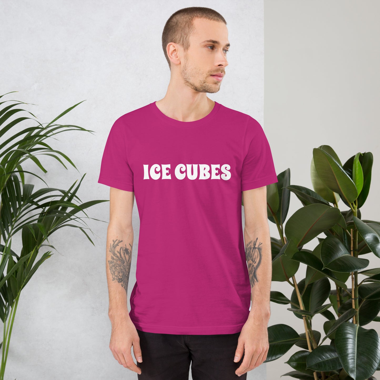 ICE CUBES Unisex t-shirt