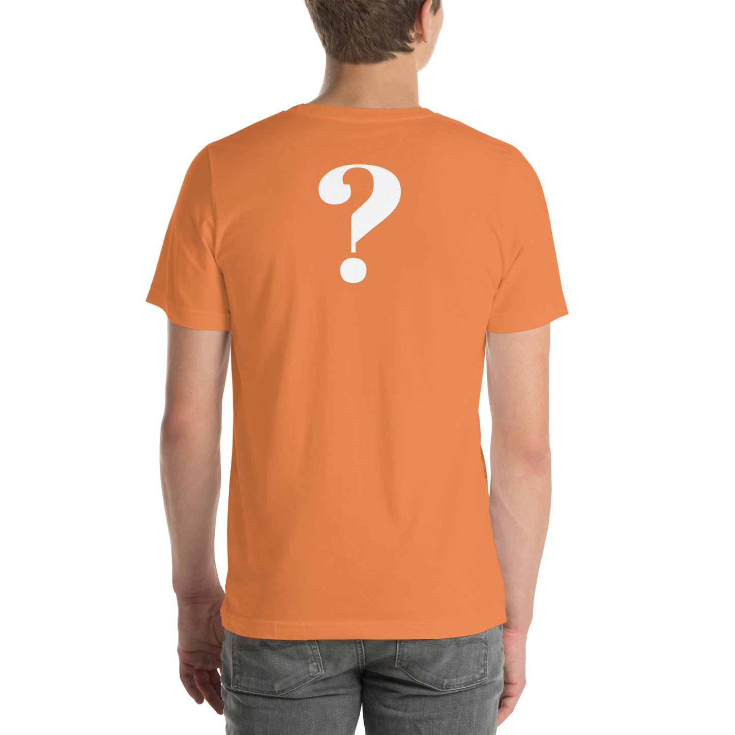 I HEARD A CONSPIRACY THEORY - Unisex t-shirt