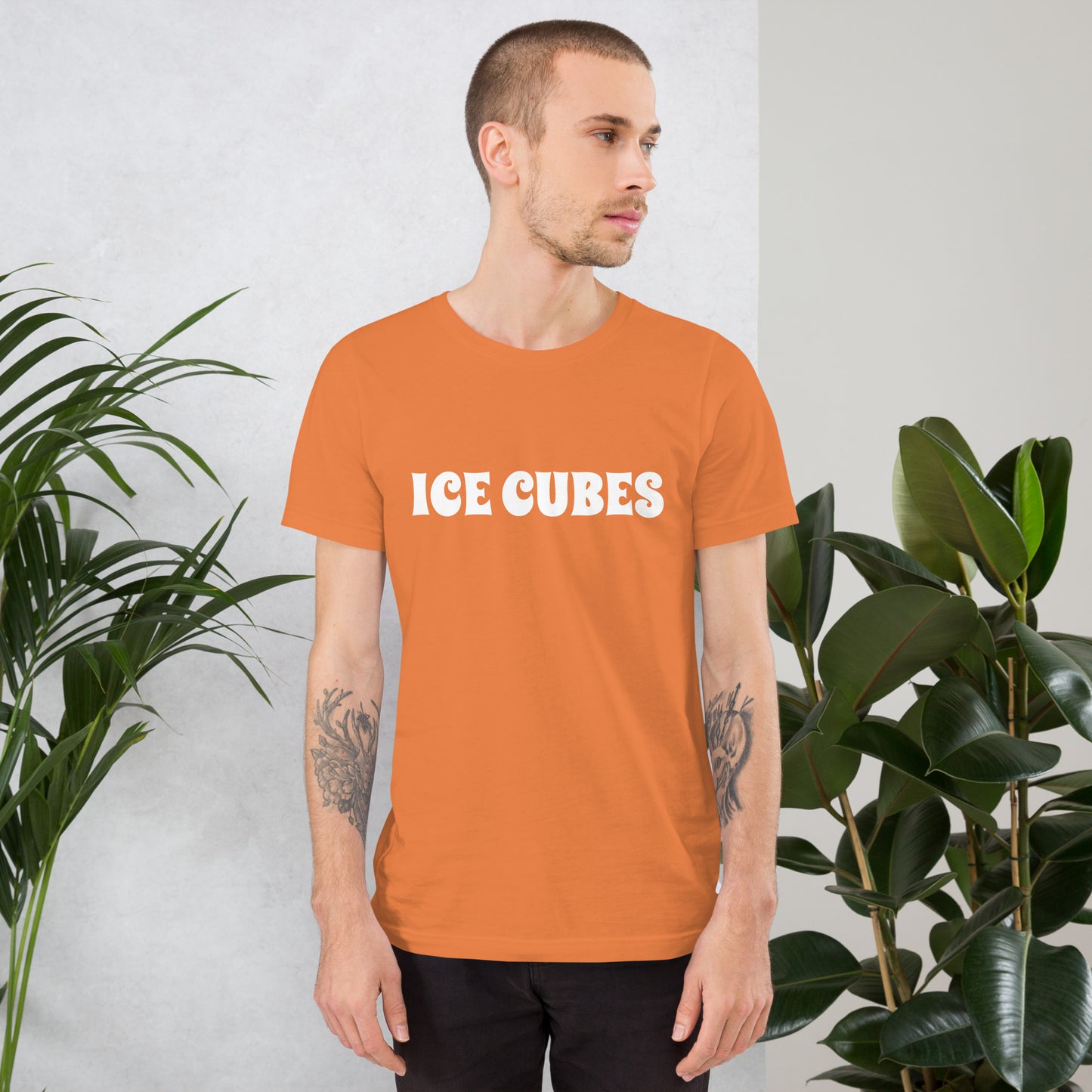 ICE CUBES Unisex t-shirt