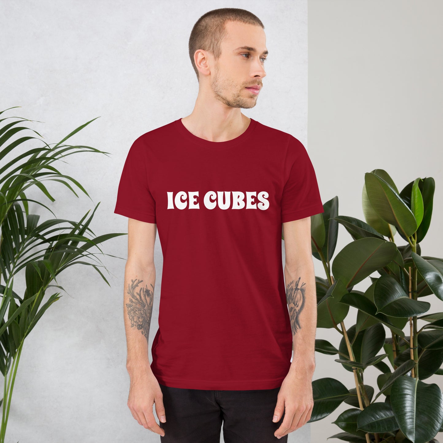 ICE CUBES Unisex t-shirt