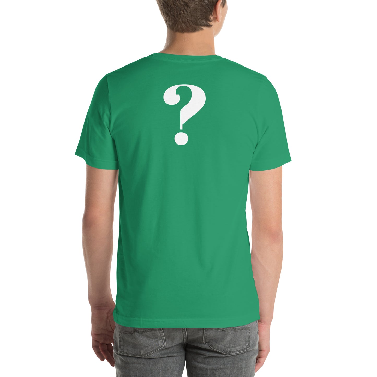 I HEARD A CONSPIRACY THEORY - Unisex t-shirt