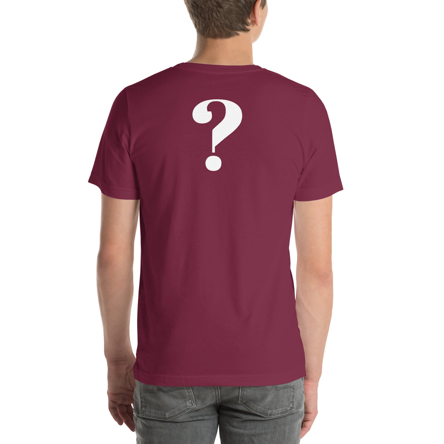 I HEARD A CONSPIRACY THEORY - Unisex t-shirt