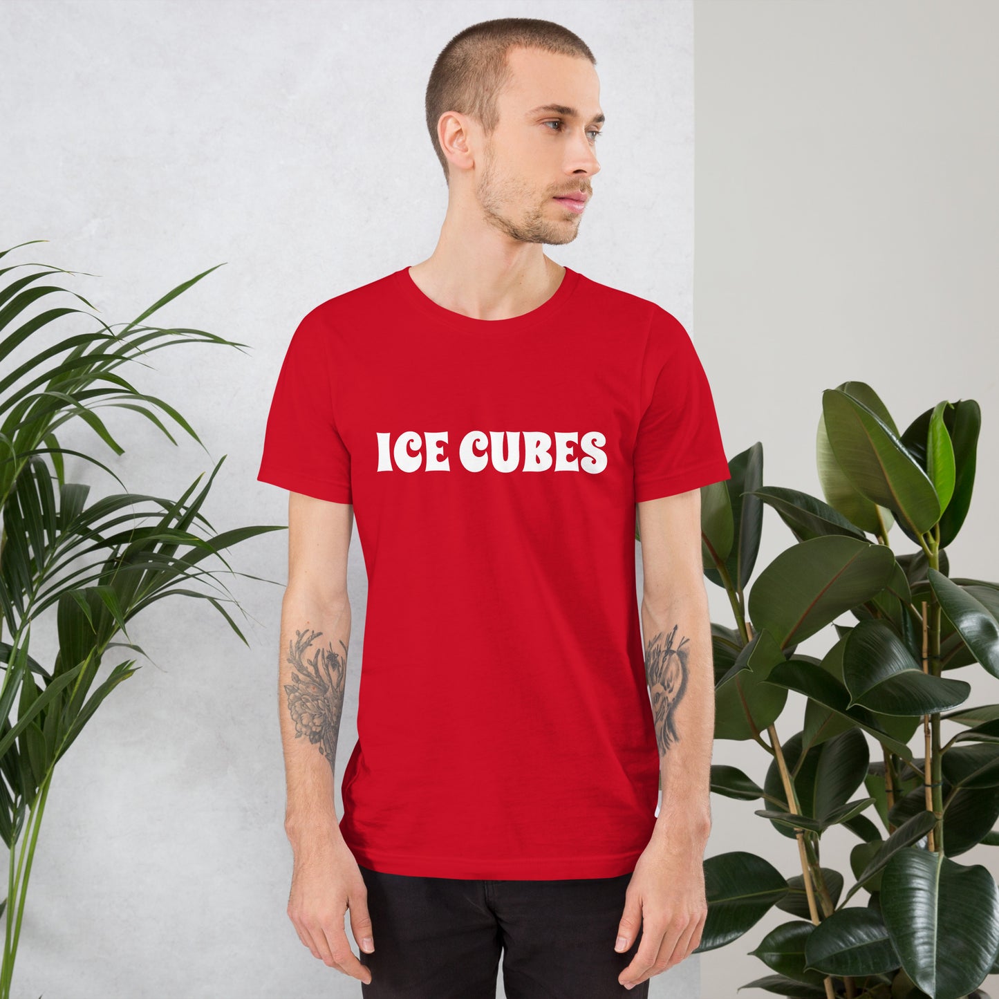 ICE CUBES Unisex t-shirt