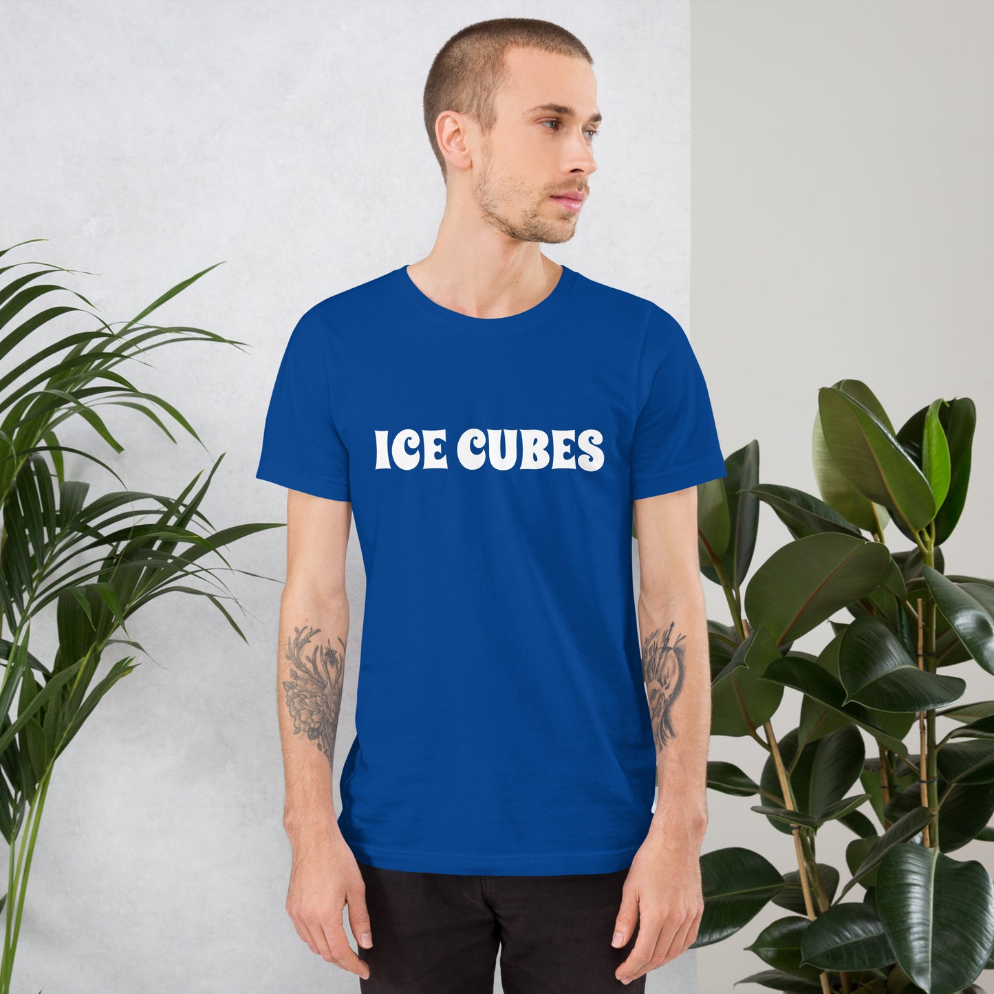 ICE CUBES Unisex t-shirt