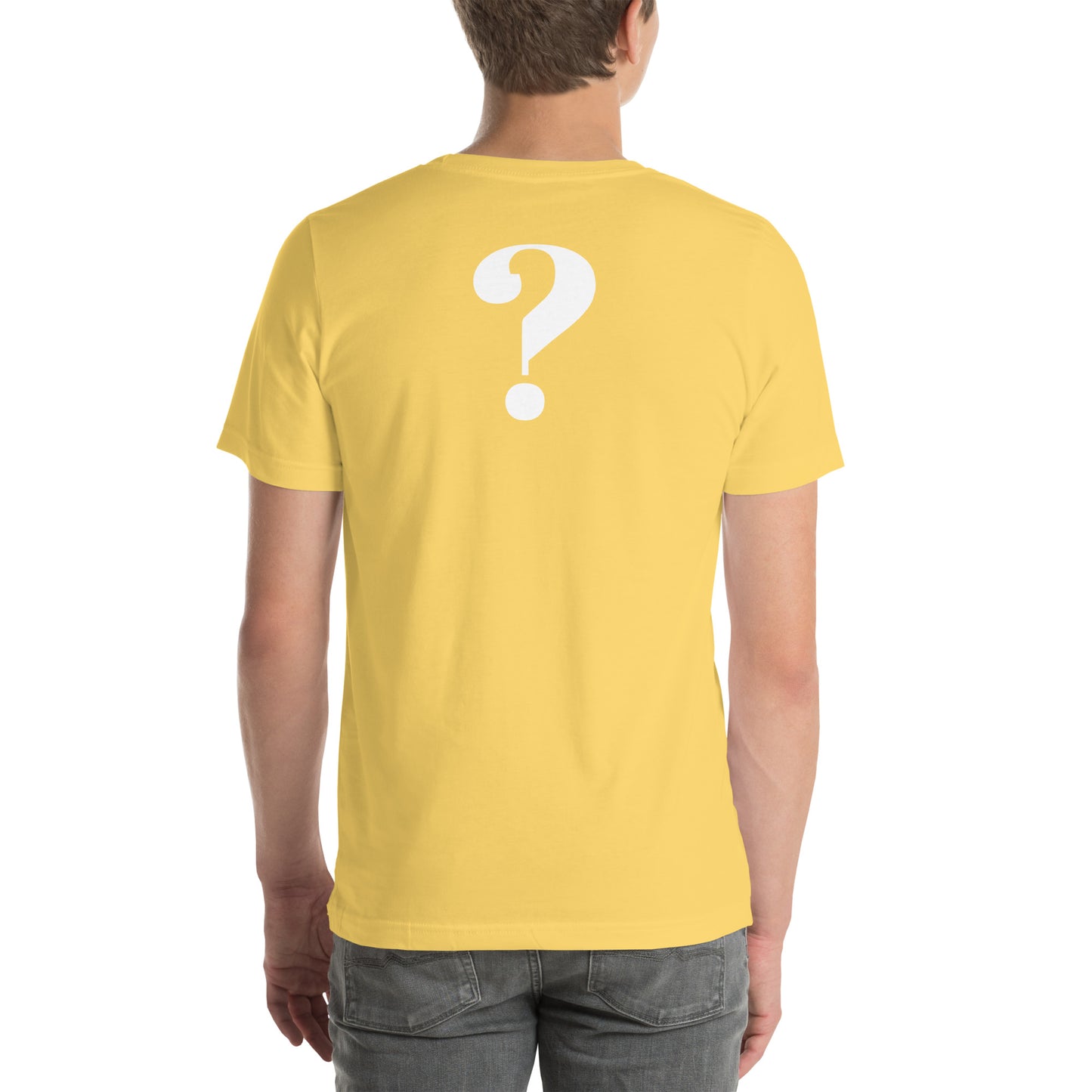 I HEARD A CONSPIRACY THEORY - Unisex t-shirt