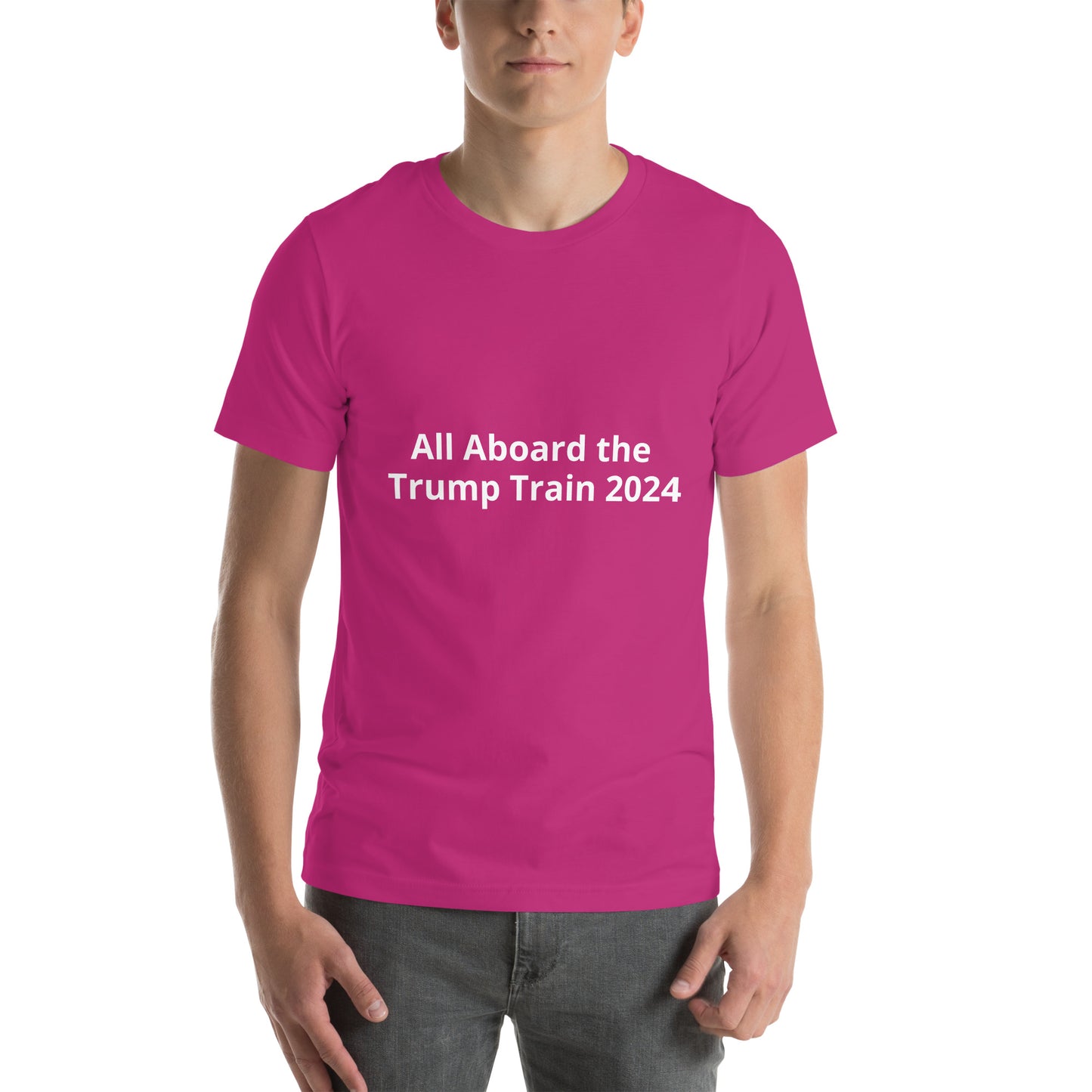 All Aboard the Trump Train 2024 Unisex t-shirt